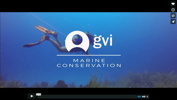 video marine conservation