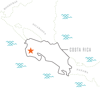 ISA-Santa-Cruz-Costa-Rica