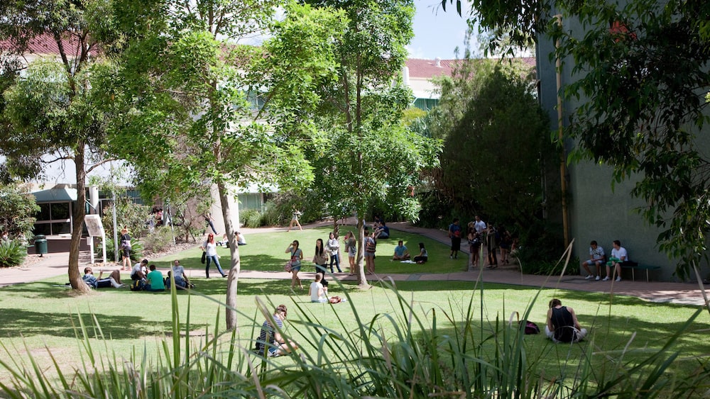 Griffith University campus