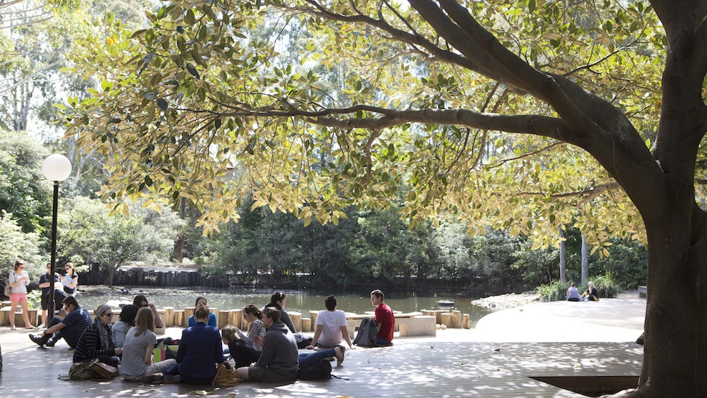 University of Wollongong campus