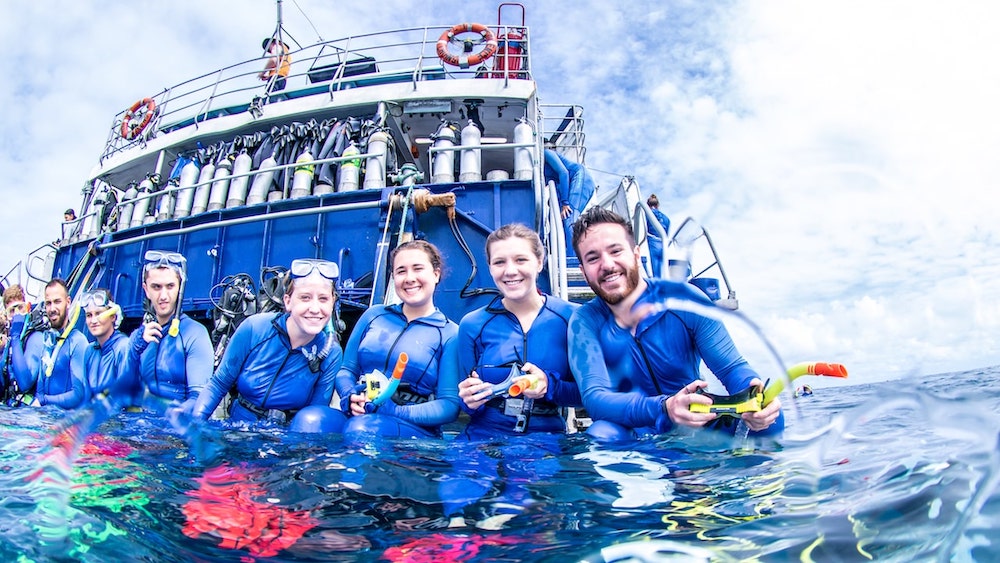 Day on the Great Barrier Reef