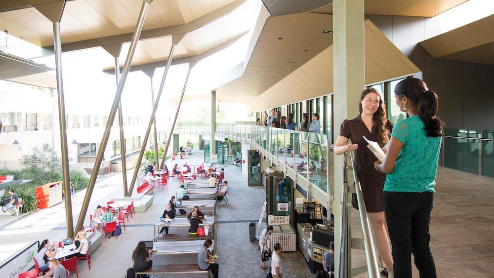 Griffith University - Brisbane campus