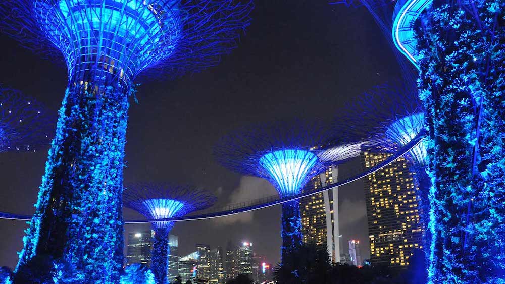 Supertree Grove in Gardens by the Bay, Singapore