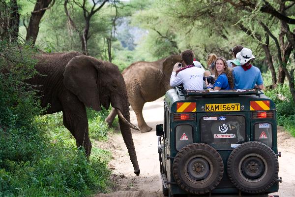 sfs kenya