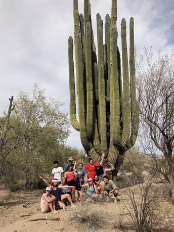 Group with huge cactus