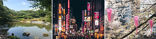 API Tokyo Japan Excursions
