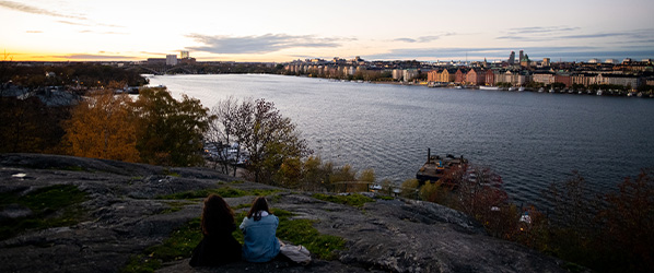 Vista point view of Stockholm