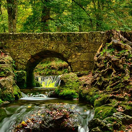 Germany II