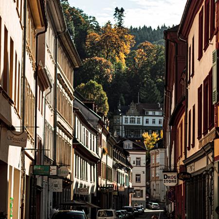 Heidelberg II