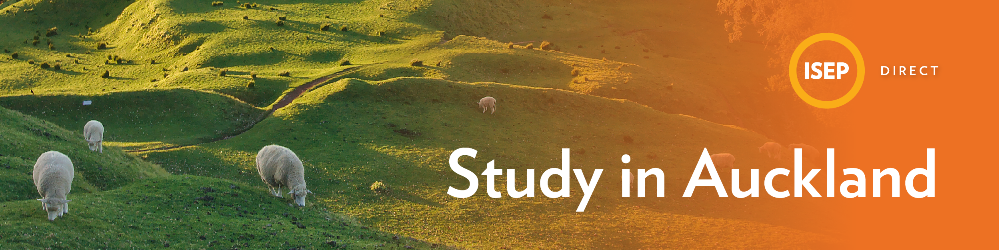 Study in Auckland Banner