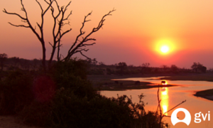 Limpopo sunset