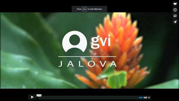 video jalova