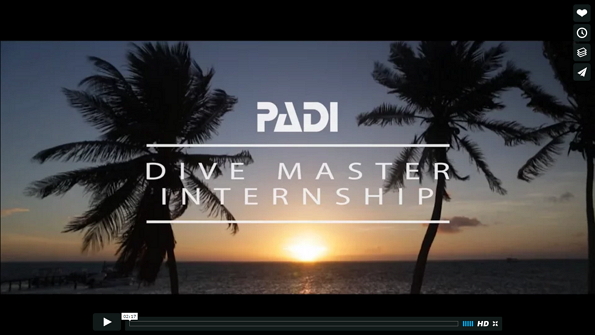 video mexico divemaster internship