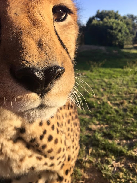 south africa