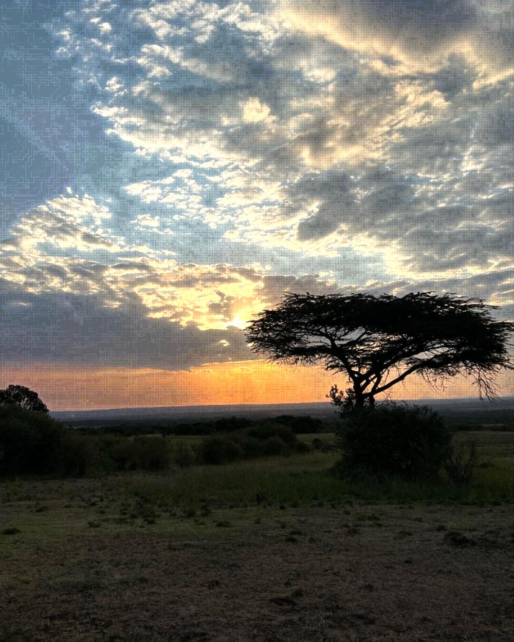 sunset