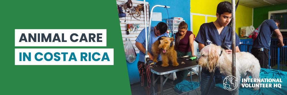 Animal Care Costa Rica