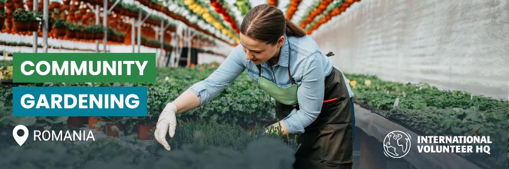 Gardening Romania