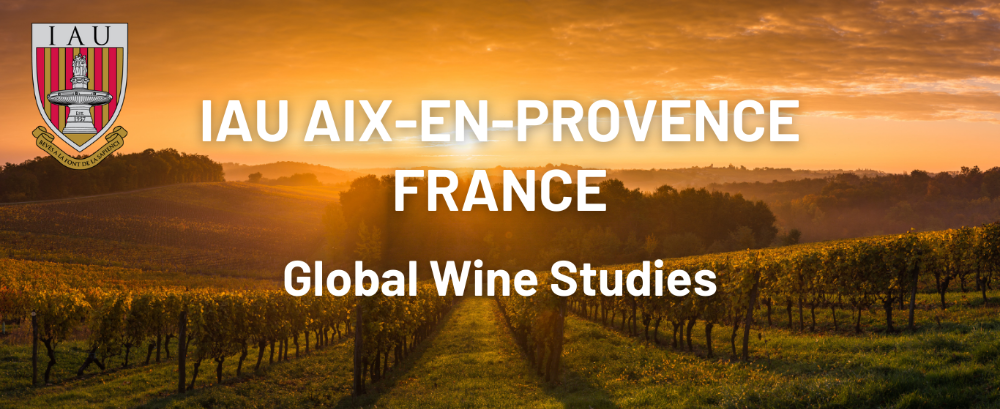 Aix Wine 1