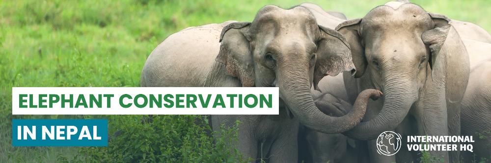 Elephant Conservation in Nepal