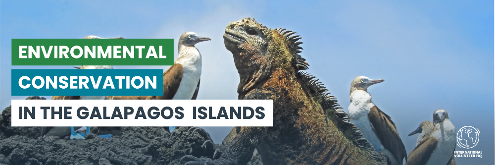 IVHQ Galapagos Environmental Conservation
