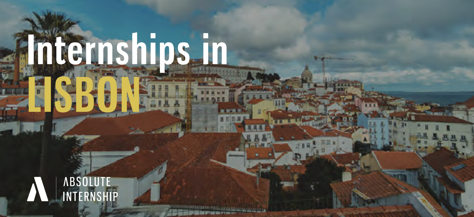 Intern in Lisbon