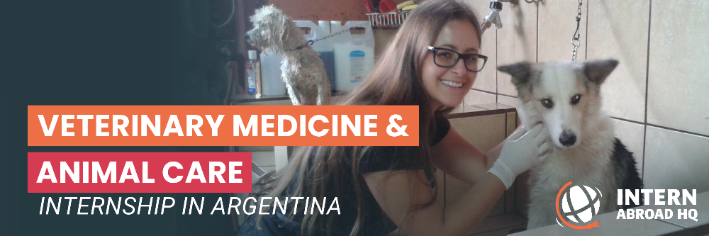Argentina Veterinary Medicine
