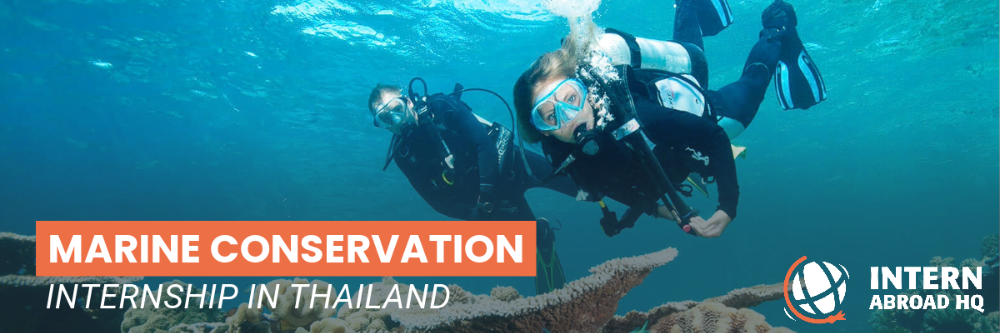 Thailand Marine Conservation