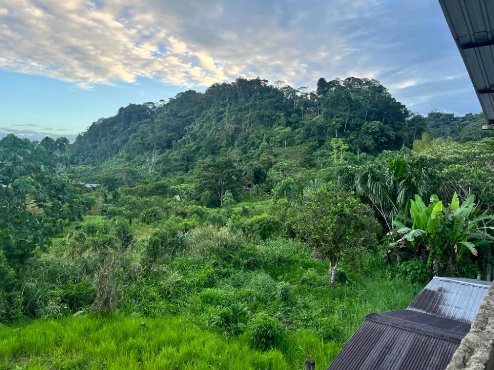 Views from volunteer house