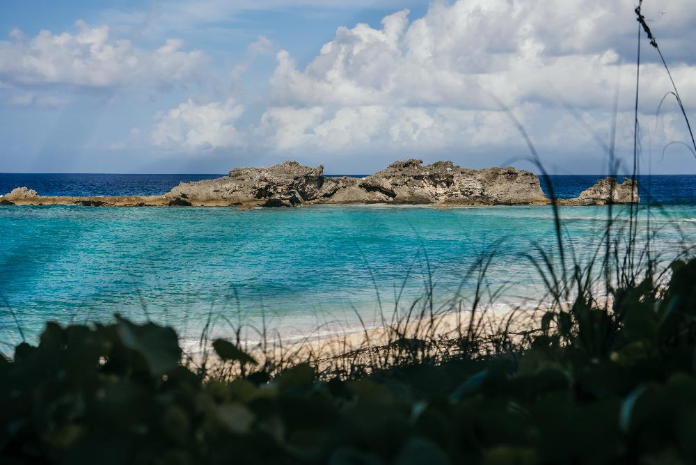 tci anna landscape