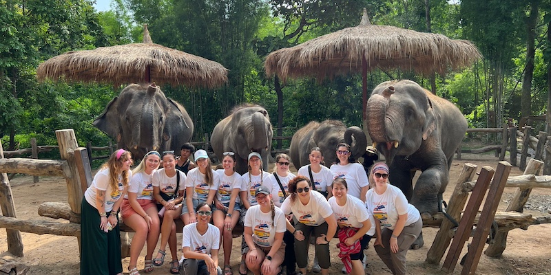 Thailand ACC elephants