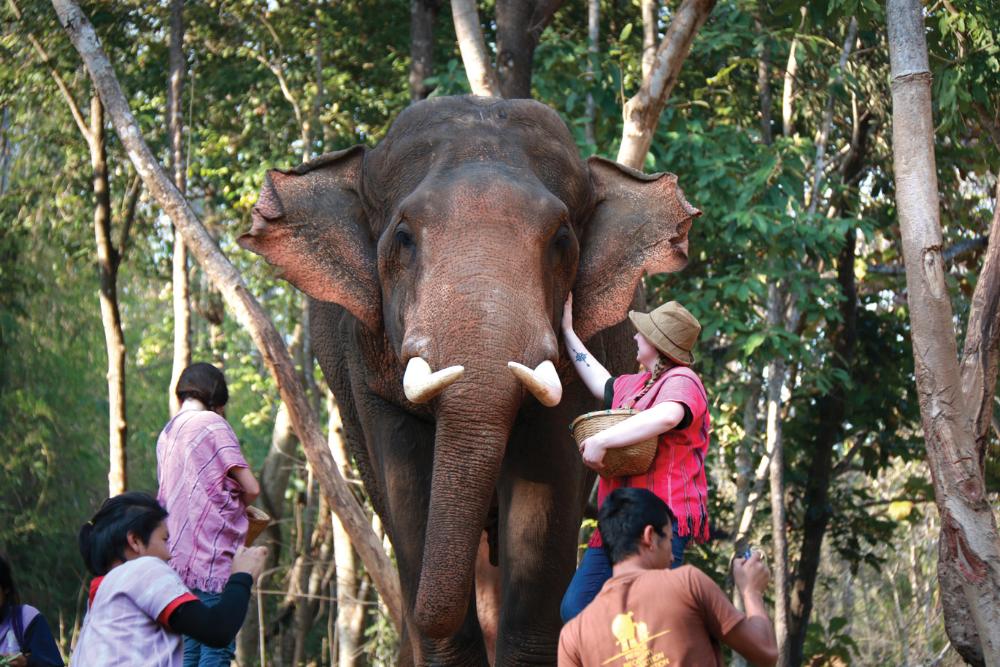 Thai Sustain