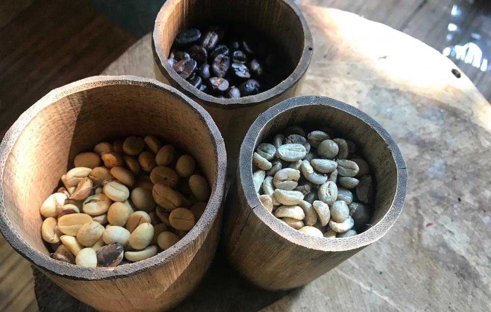 Coffee beans in cups