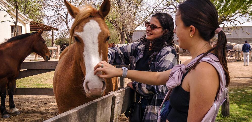 IFSA Study in Buenos Aires: Preveterinary Medicine