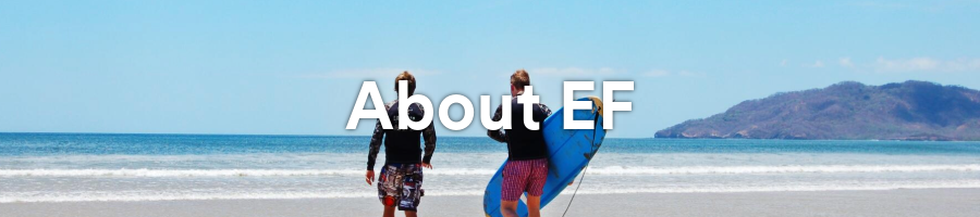 About EF PLT