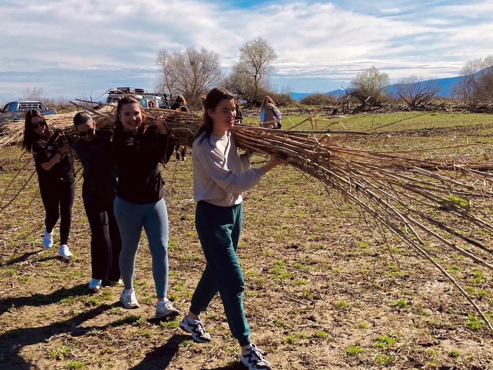 service learning